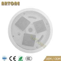 Ceiling Speaker CS-300