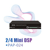 Mini Professional Audio DSP Processor PAP-024 Small Digital Signal Mixer 2in 4out